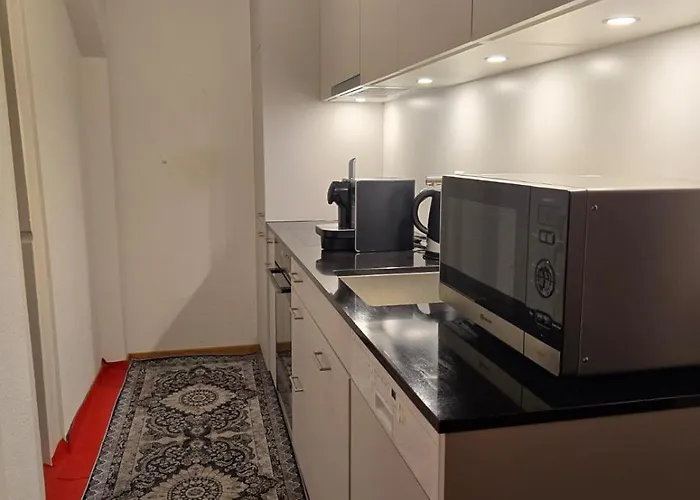 Great Double In Old Town Apartment Bern